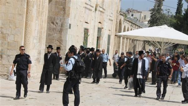 59 إسرائيليا يقتحمون المسجد الأقصى اليوم