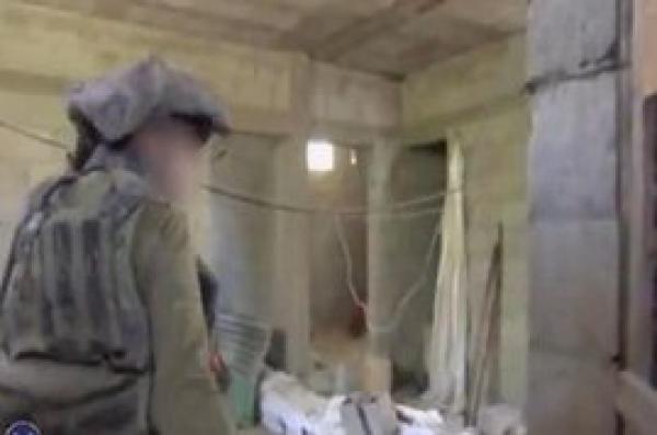 بالفيديو .. الجيش الإسرائيلي يخشي الدجاج