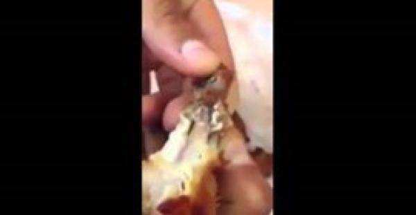 بالفيديو.. رجل يعثر على ديدان حية في أطعمة «كارفور»