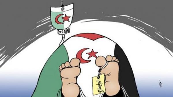 شتنبر أسود للجزائر والبوليساريو بمجلس الأمن