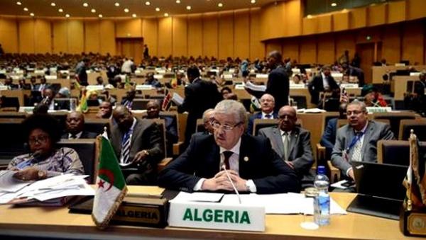هزائم الجزائر الدبلوماسية أمام المغرب قد تعجل بانسحابها من الاتحاد الافريقي