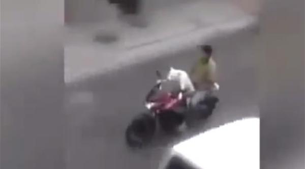 بالفيديو: رجل يترك كلبه يقود دراجته البخارية