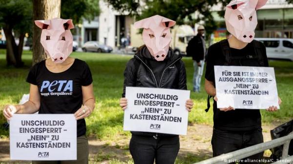 منظمة ألمانية تطالب بمعاقبة آكلي اللحوم بحرمانهم من ممارسة الجنس