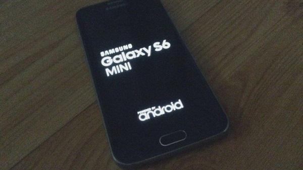 أوّل صور مسربة لهاتف "جالكسي اس 6 ميني" Galaxy S6 Mini