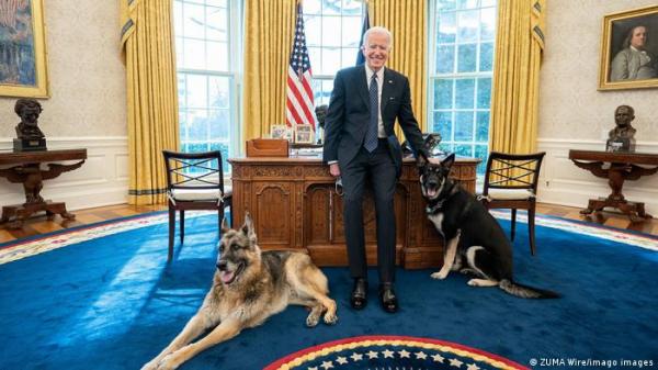 طرد كلب بايدن من البيت الأبيض لأسباب أمنية!