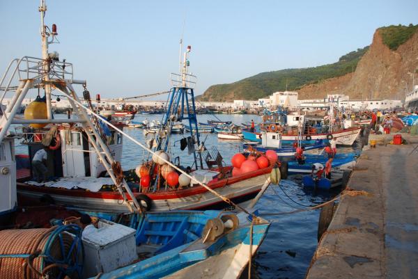اتفاق مغربي موريتاني على عقد اجتماع للجنة المشتركة للصيد البحري في أقرب الآجال