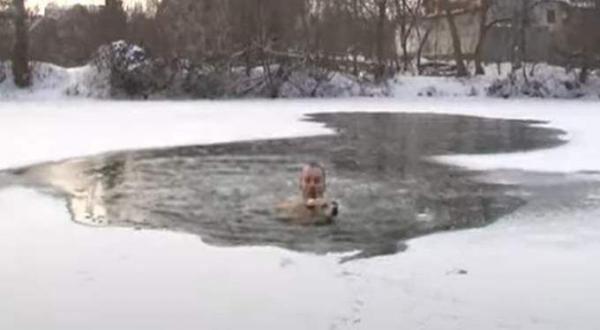 صحفي روسي ينقذ كلبا من موت محقق بعد سقوطه في بحيرة متجمدة (فيديو)