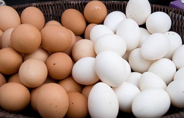 ارتفاع استهلاك المغاربة للبيض إلى 180 بيضة للفرد في العام