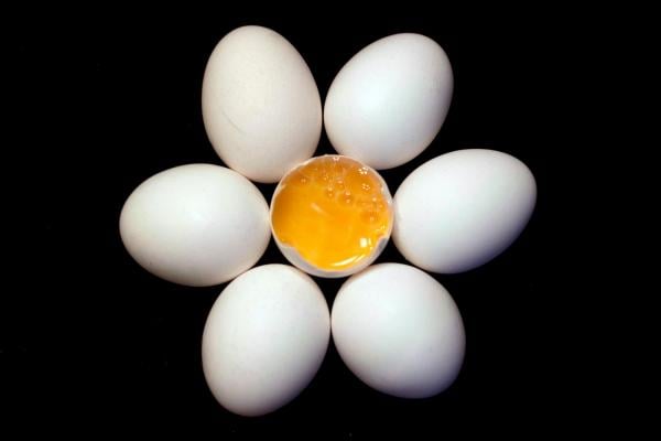 هل يجب غسل البيض قبل استعماله أم لا؟ وكيف؟!