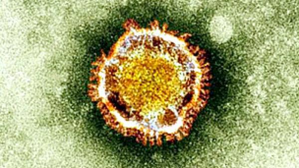 مخاوف من انتشار فيروس (كورونا) القاتل