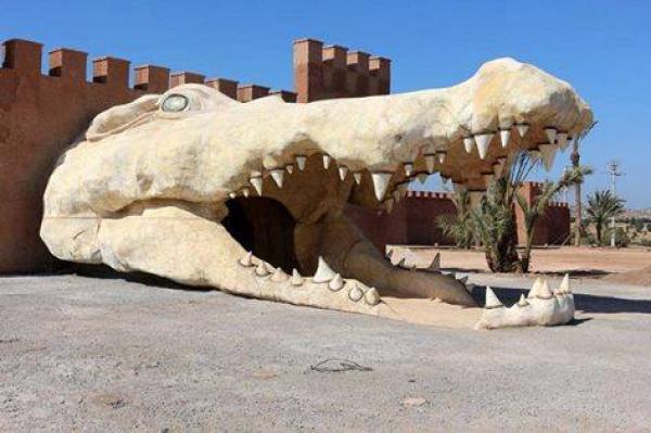 وجهة أكادير السياحية تتعزز بافتتاح "حديقة للتماسيح" هي الأولى من نوعها بالمغرب