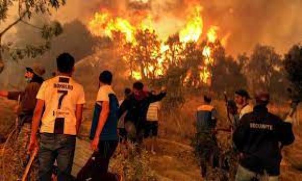 حرائق غابات بالجزائر تتسبب في مصرع وإصابة عشرات الأشخاص