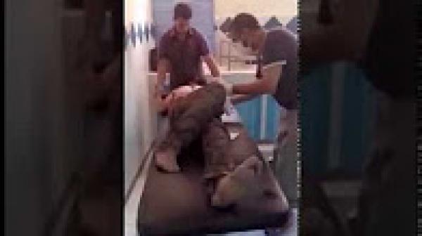 فيديو صادم...حقوقيون ينظفون مشرد ضحية حادثة سير ويستنكرون إهماله داخل المستشفى