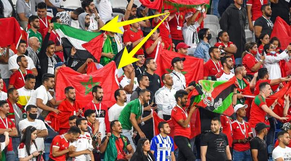 جماهير فلسطينية ترد بقوة على حملة تشكيك وتجييش أطلقها "ذباب جزائري" ضد المغرب (فيديو) 