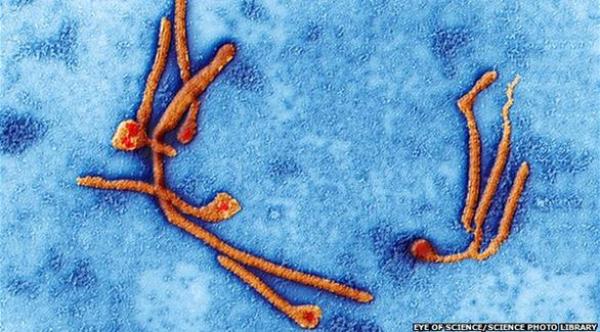 الحكومة الفرنسية تعين منسقاً خاصاً لمكافحة الإيبولا