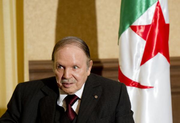 الحزب الحاكم في الجزائر يبحث عن تحالفات جديدة لدعم بوتفليقة و منع سقوطه