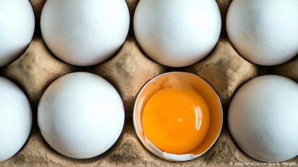 البيض يمكن أن يزيد من خطر الإصابة بسرطان البروستاتا بنسبة كبيرة