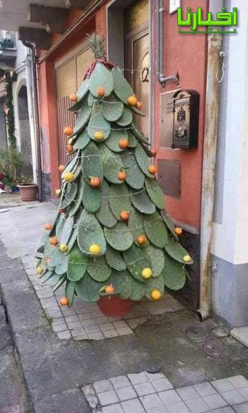 شجرة رأس السنة الميلادية على الطريقة المغربية