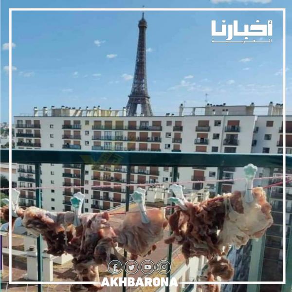 "الكَديد المغربي "شامخ في  عاصمة العطور باريس