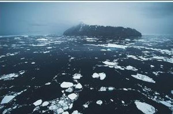 للمرة الأولى فى التاريخ.. القطب الجنوبي يسجل 15 درجة مئوية