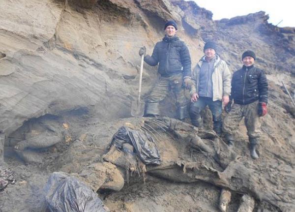 طفل روسى يكتشف هيكل "ماموث" عمره 30 ألف عام