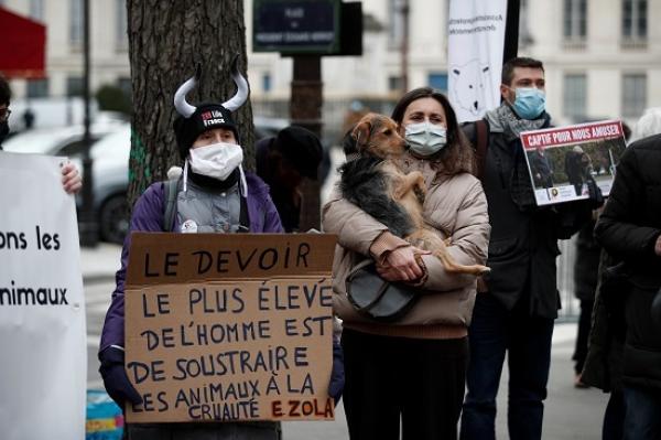 الفرنسيون يتظاهرون بالكلاب فى باريس للمطالبة بحماية الحيوانات.
