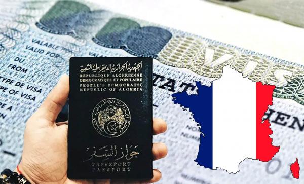 في عام واحد فقط: فرنسا ترفض نحو 32 ألف طلب تأشيرة شنغن تقدم بها الجزائريون