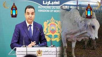 بايتاس يعلق على جدل الأبقار المستوردة..هل تشكل خطرا على صحة المغاربة؟