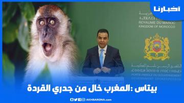 الحكومة: المغرب خال من جدري القرود
