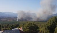 حريق غابوي جديد بإقليم العرائش وشهود يؤكدون اقتراب ألسنة النيران من ضريح "مولاي عبد السلام"