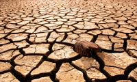 الجفاف الشديد في منطقة الأمازون سببه التغير المناخي