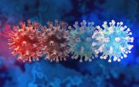 فيروس كورونا يمكن أن يعيش داخل الجسم لعامين بعد العدوى