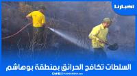 هكذا تكافح السلطات الحرائق بغابة جبل بوهاشم قرب ضريح مولاي عبد السلام
