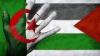 الجزائر، كابوس القضية الفلسطينية داخل مجلس الأمن