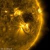 علماء يرصدون منطقة نشطة جديدة على سطح الشمس