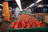 أسعار الطماطم تحلق مجددا في الأسواق المغربية والمواطنون عاجزون عن الفهم