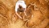 اكتشاف خيول مدفونة منذ 2000 عام في فرنسا
