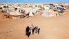 مخيمات تندوف بالجزائر "مصدر توتر وقنبلة موقوتة"