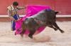 هل هي نهاية الرياضة الاسبانية الشهيرة؟ إسبانيا تلغي الجائزة الوطنية لمصارعة الثيران