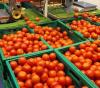بالصورة: سعر الطماطم "المغربية" بسوق فرنسي يثير جدلا واسعا