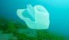 دراسة تُحذر: الفيروسات قادرة على البقاء حية تحت الماء بواسطة البلاستيك