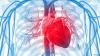 هل هناك علاقة بين التلوث وزيادة الاستشفاء جراء مرض القلب ؟