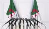 النقابة الوطنية للصحافة المغربية تُفحم أبواق العسكر الجزائري بعد ترويجها لأخبار كاذبة في وفاة صحفي مغربي