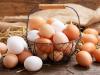 ارتفاع ثمن البيض بالأسواق يثير غضب المغاربة.. ومتخصص في تربية الدجاج يكشف السبب