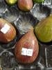 من هولندا: حبة من التين المغربي  ب1،25 أورو