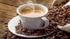 هل هناك علاقة بين القهوة وأمراض الكلى؟ دراسة تُوضح