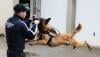 تخوف في فرنسا بسبب نقص الكلاب خلال أولمبياد باريس