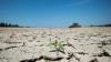 هل تنتهي أزمة شحّ الأمطار في إسبانيا إلى حرب على المياه؟