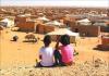 تجنيد الأطفال بمخيمات تندوف.. الجزائر و"البوليساريو" تضربان المواثيق الدولية عرض الحائط