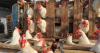 أسعار الدجاج تواصل التحليق في الأسواق المغربية ومهنيون يكشفون سبب الغلاء
